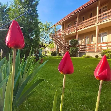 Inn у антонини Solochin